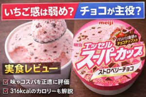 エッセル スーパーカップ ストロベリーチョコの実食レビューアイキャッチ